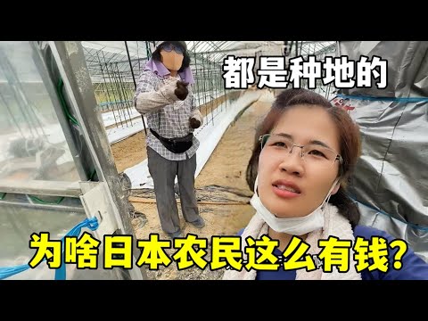阿莫林后弗,爵时代,轮英超战绩,中欧体育官网,ZO,SPORTS,中欧体育中国官网,ZO体育平台,中欧体育服务