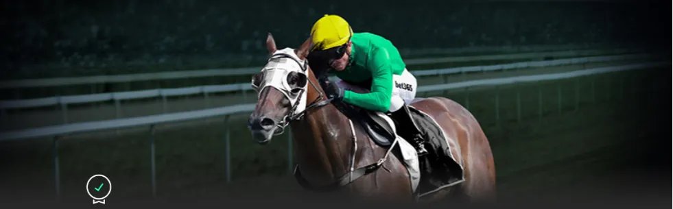 激战正酣,墨西哥球队,惊现,中欧体育官网,ZO,SPORTS,中欧体育中国官网,ZO体育平台,中欧体育服务